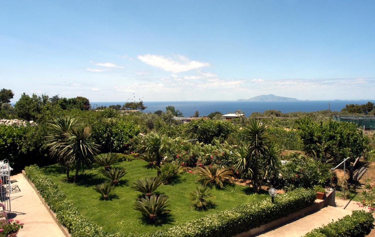 Villa Damecuta B&B Anacapri  Luaran gambar