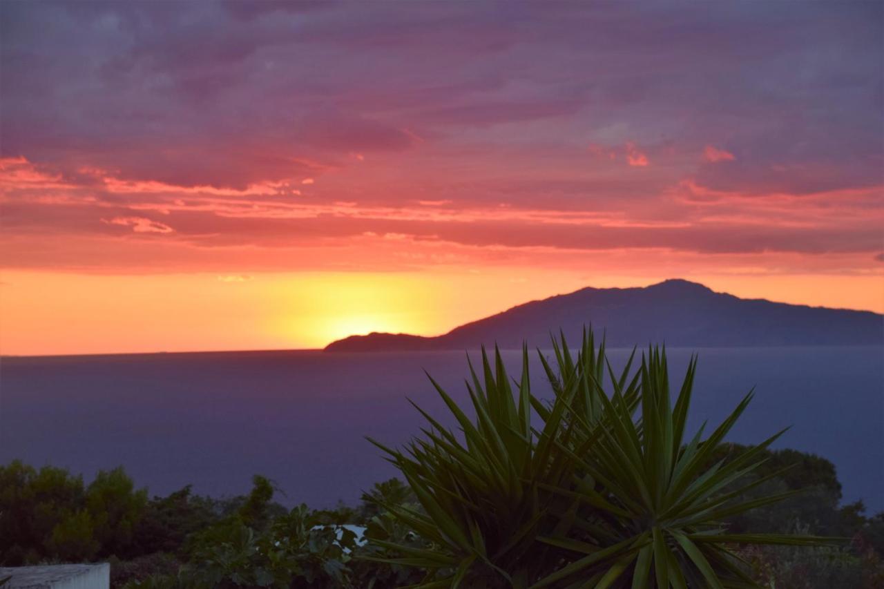 Villa Damecuta B&B Anacapri  Luaran gambar