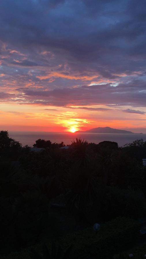 Villa Damecuta B&B Anacapri  Luaran gambar