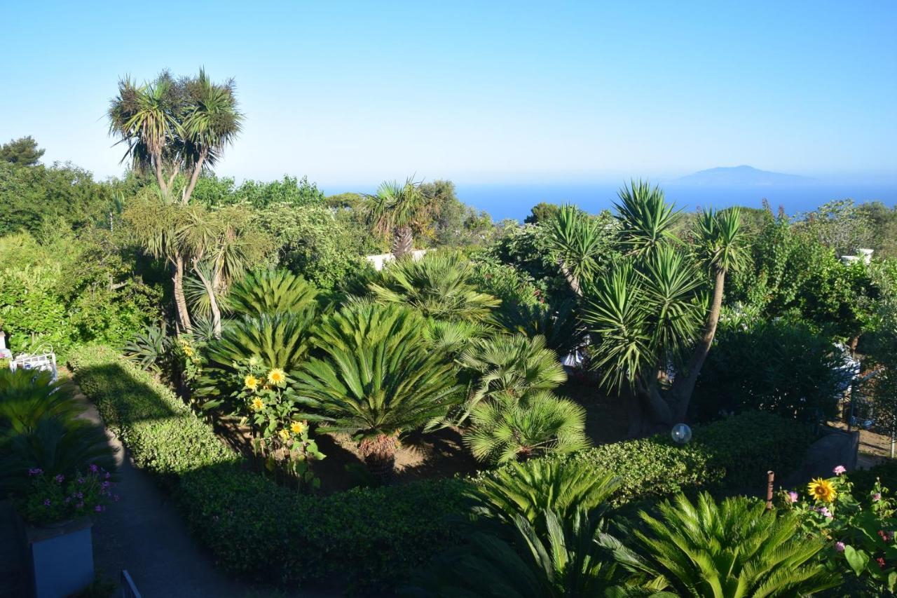 Villa Damecuta B&B Anacapri  Luaran gambar