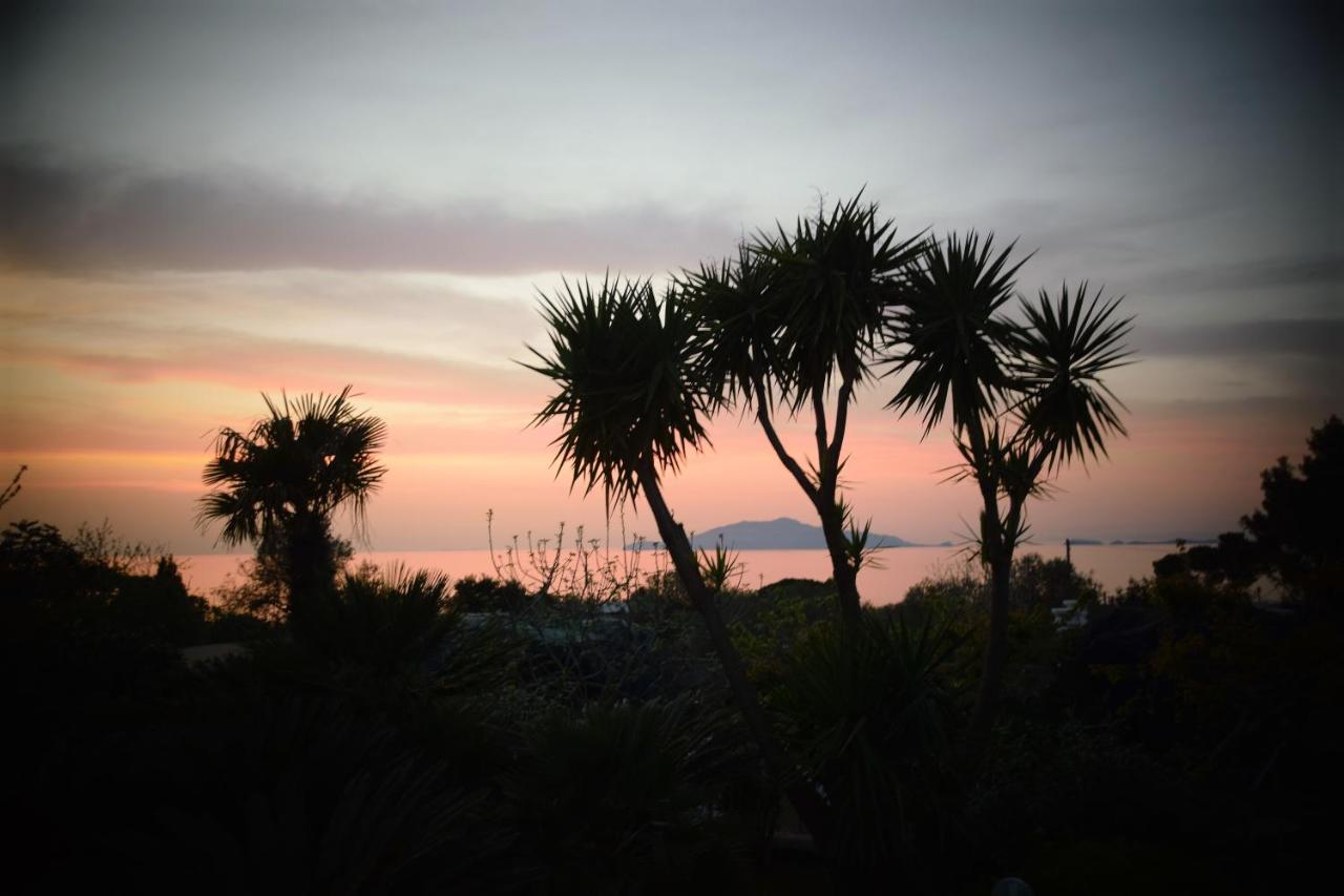 Villa Damecuta B&B Anacapri  Luaran gambar