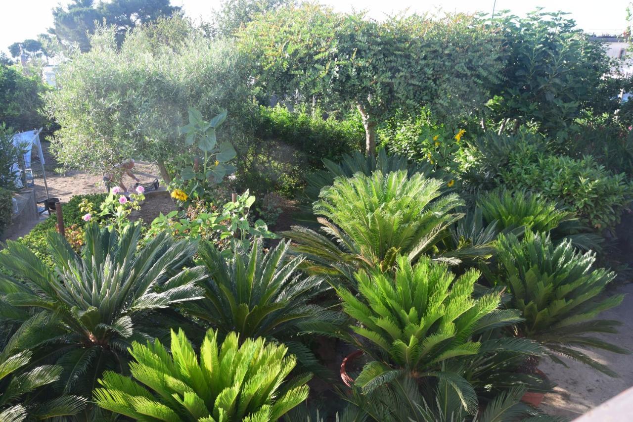 Villa Damecuta B&B Anacapri  Luaran gambar